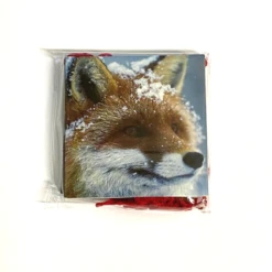 2022 Christmas Strung Gift Tags Pack Of 8 (4 Of 2 Designs) C