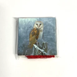 2022 Christmas Strung Gift Tags Pack Of 8 (4 Of 2 Designs) G