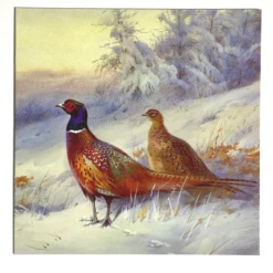 Medici Christmas - 10 Cards In Wallet 'Deer & Pheasants' XMW0049 -Spode Xmas Store Picture13 1662648354