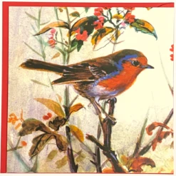 Medici Christmas - Single Card 'Robin' By Rolan Green XQB0024*