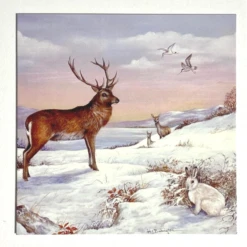 Medici Christmas - 10 Cards In Wallet 'Deer & Pheasants' XMW0049 -Spode Xmas Store Picture14 1662648363