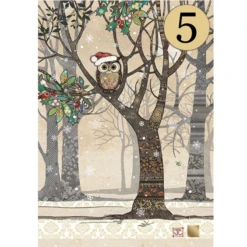 Bug Art Christmas DCC037 Santa Owl 5 Pack Of Cards