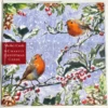 Medici Christmas - Charity Cards 6 Pack 'Robin Berries' CHMT0138 -Spode Xmas Store Picture32 1662125867