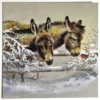 Medici Christmas - Box Of 12 Cards 'Donkeys & Robin' FRM0003 -Spode Xmas Store Picture48 1662649219