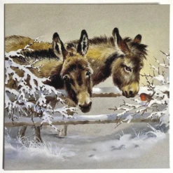 Medici Christmas - Box Of 12 Cards 'Donkeys & Robin' FRM0003