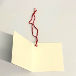 2022 Christmas Strung Gift Tags Pack Of 6 (one Design) X -Spode Xmas Store ZZ 1605972366 1662652563